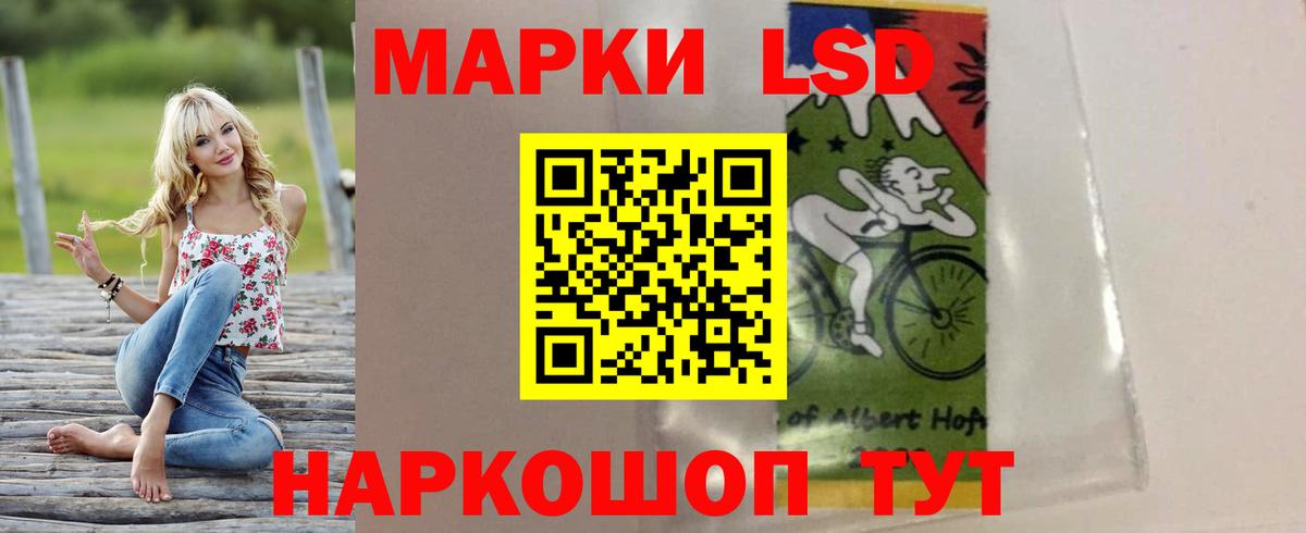 Бердск  ЛСД экстази  Вход с VPN  ЛСД экстази кислота  ЛСД экстази кислота 