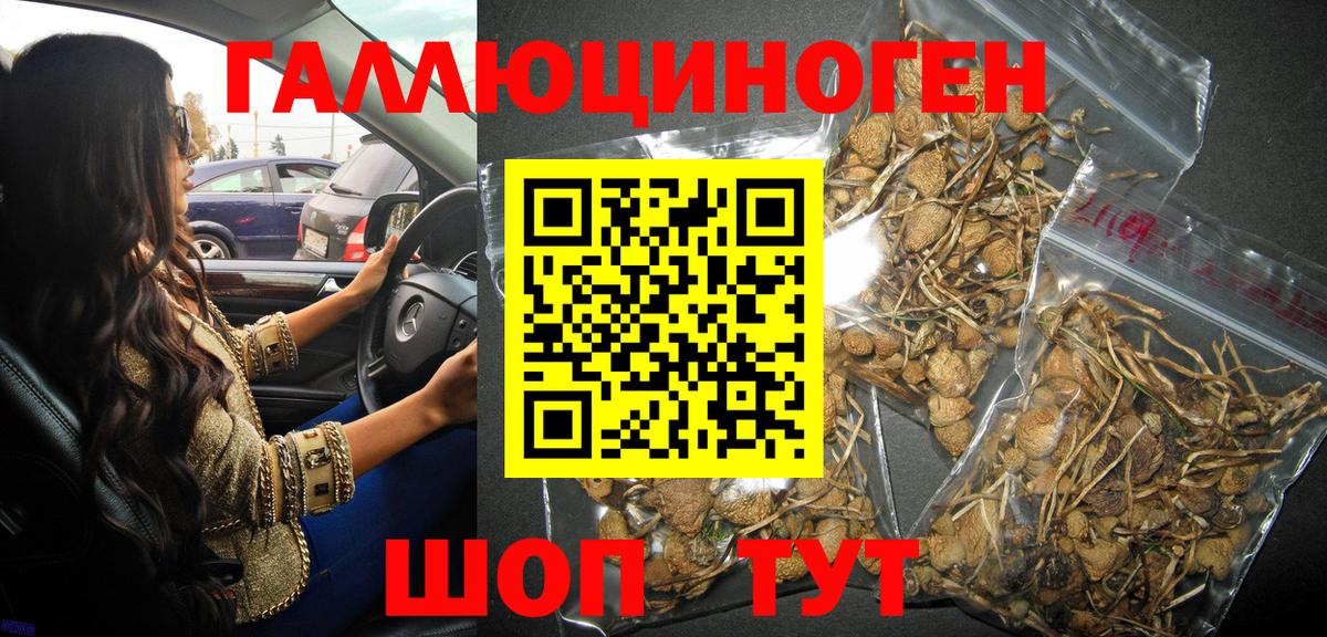 Галлюциногенные грибы прущие грибы Бердск